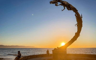 Kovay Gardens Reviews Share Guest Favorite Memories